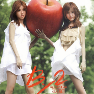 日日日日日日BBBBB视频
