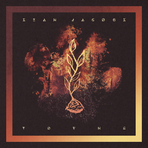 日日日日日日BBBBB视频
